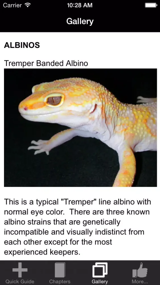 Leopard Gecko Care 101 Screenshots