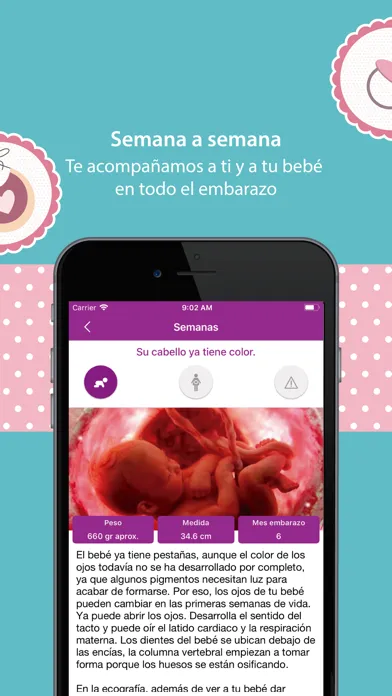 Embarazo Semana a Semana Screenshots
