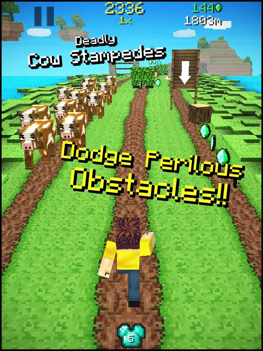 صور Runnercraft - Block World Pocket Runner iPad 