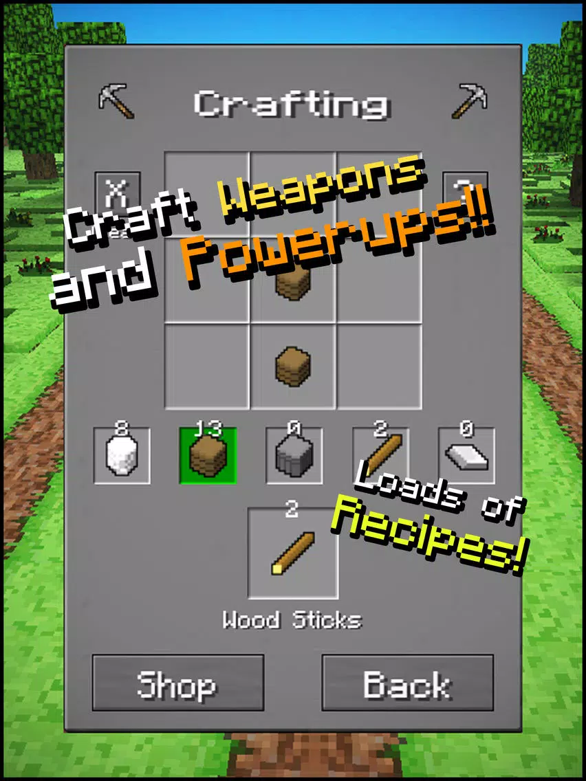 صور Runnercraft - Block World Pocket Runner iPad 