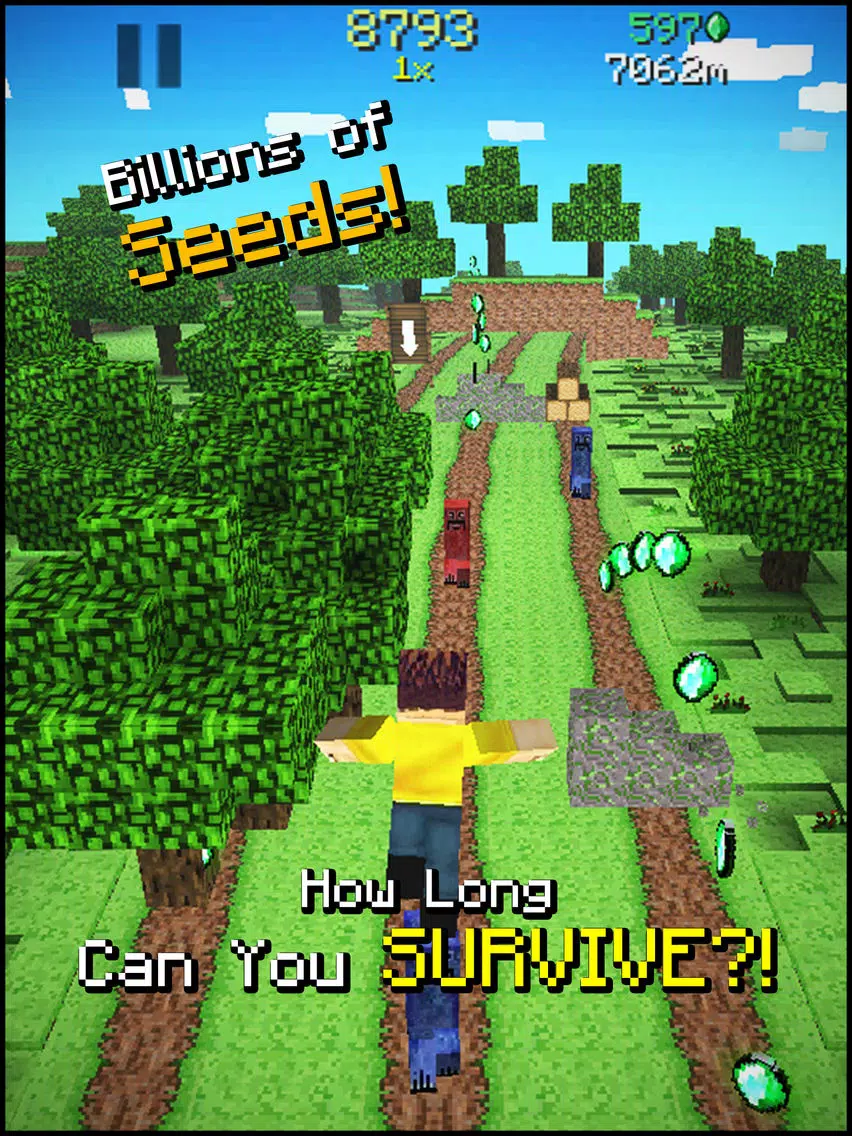 صور Runnercraft - Block World Pocket Runner iPad 