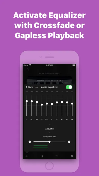 Captures d'écran de Evermusic: mp3 music player