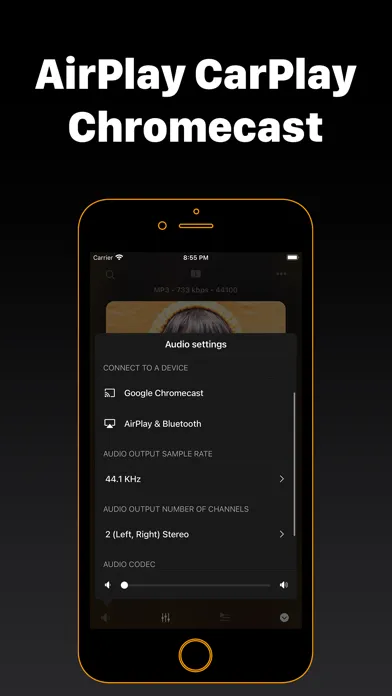 صور Flacbox: Hi-Res Music Player