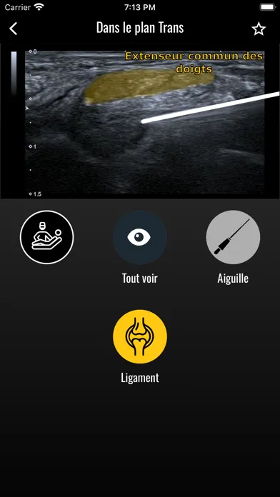 GuideUS MSK Screenshots