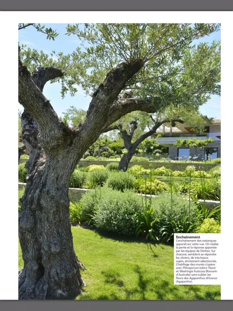 LES PLUS BEAUX JARDINS iPad  Ekran Görüntüleri