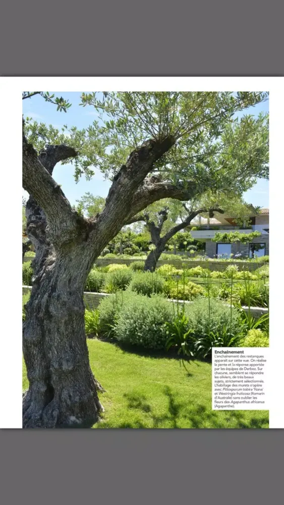 LES PLUS BEAUX JARDINS Ekran Görüntüleri
