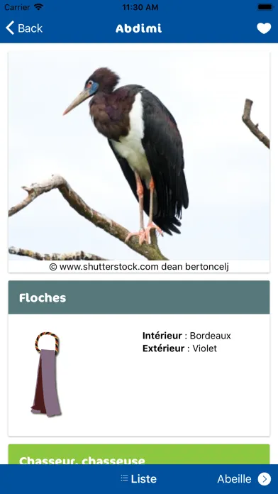 صور Totems