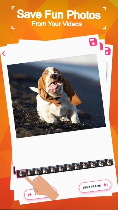 Video Frame Grabber: Clipgrab应用截图