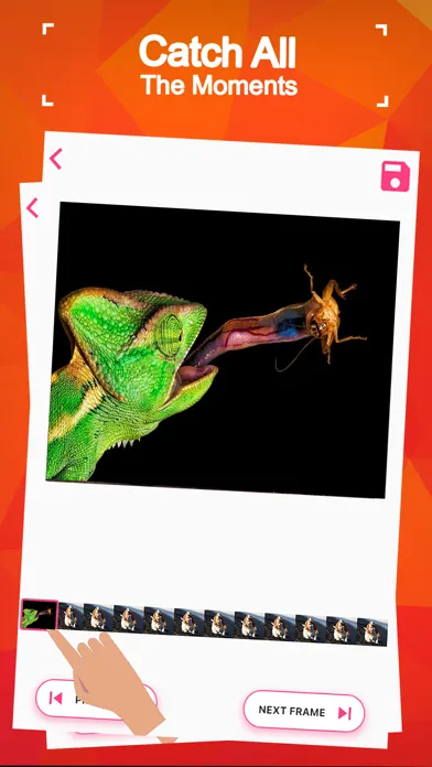 Video Frame Grabber: Clipgrab应用截图