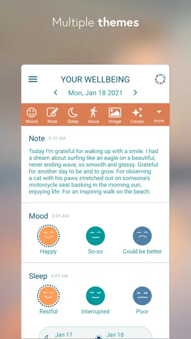Скриншоты BeWell: Wellbeing Tracker