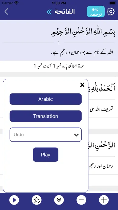 Tafheem Audio应用截图