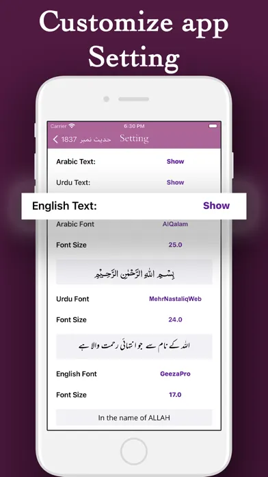 Capturas de pantalla de Hadith Collection English