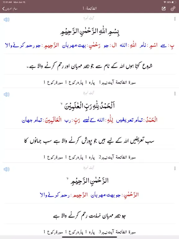 Mualim ul Irfan Tafseer Quran iPad  Ekran Görüntüleri