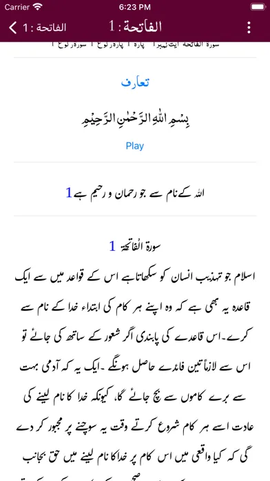 Tafheem ul Quran - Tafseer سکرین شاٹس