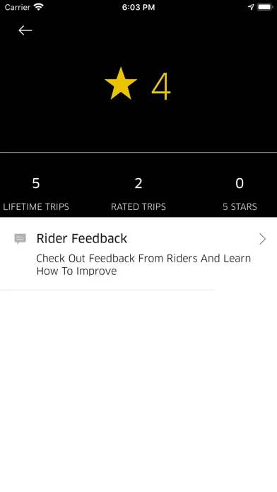 LetzGo Driver スクリーンショット