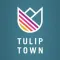 Tulip Town 360 Tour