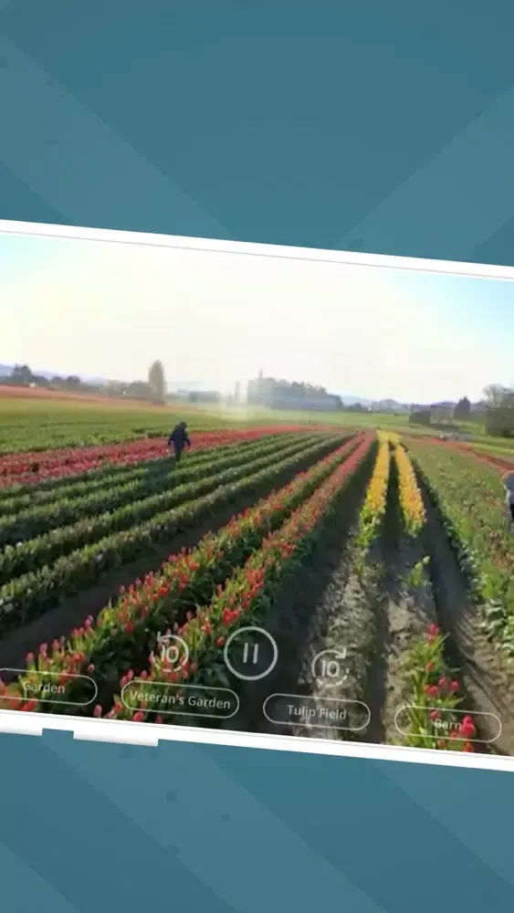 Скриншоты Tulip Town 360 Tour