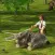 Sniper Hunt: Safari Survival