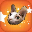 CatMoji - Sphynx Cat Grumpy Love Stickers
