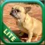 Dogs: Lite