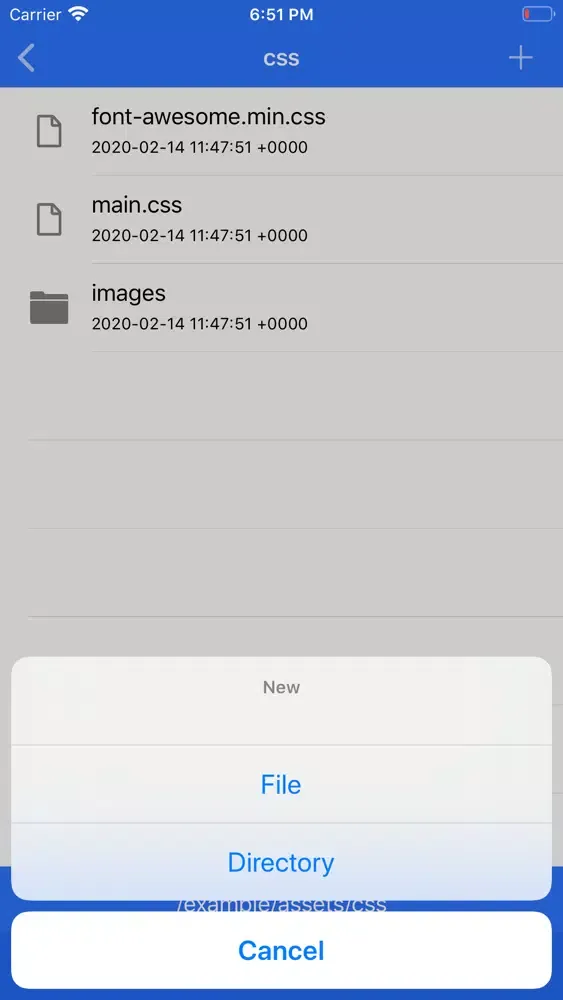 Captures d'écran de SynciOS File Manager