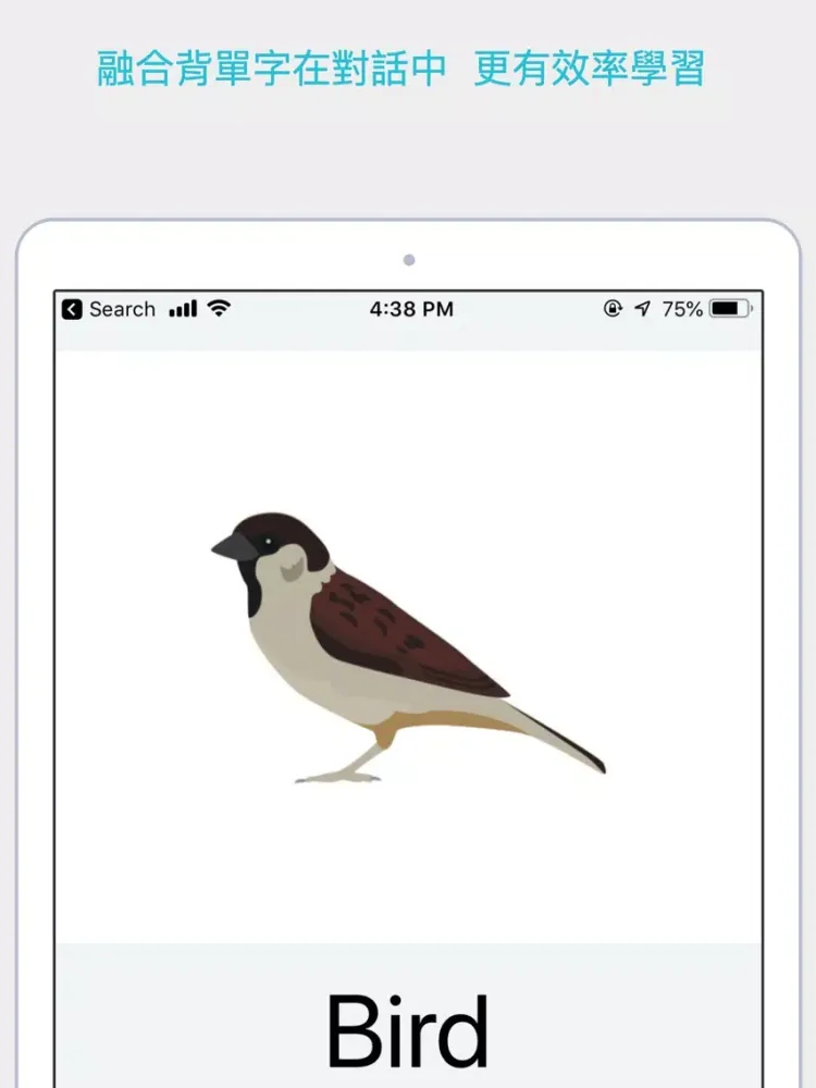 Lexi - Learn English iPad  스크린샷