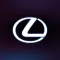 LF-Z AR