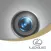 Lexus Integrated Dashcam