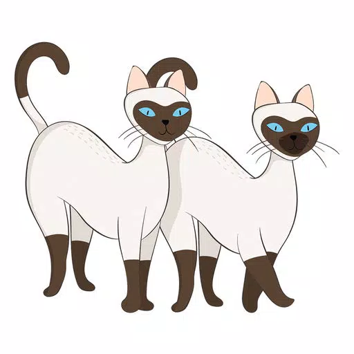 Siamese Cat Siamese Cat