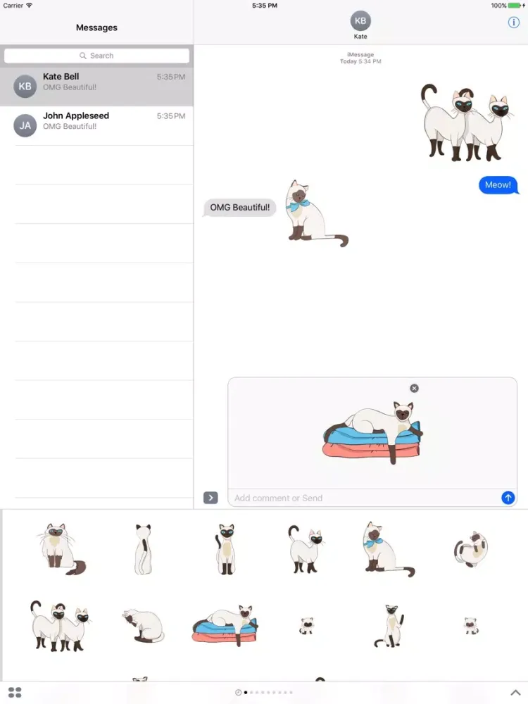 Siamese Cat iPad 应用截图