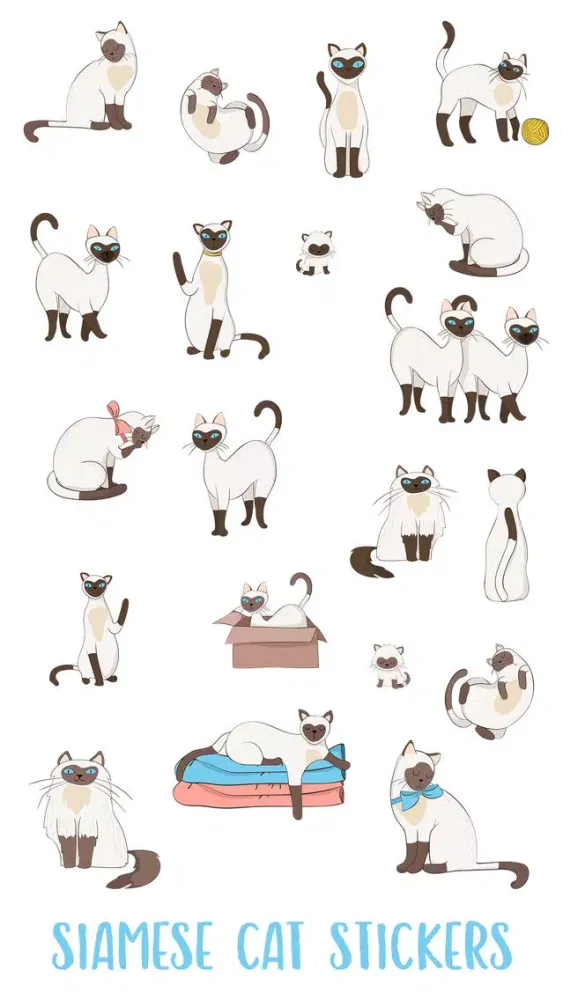Siamese Cat应用截图