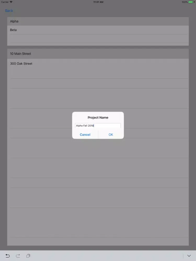 Project Site Manager iPad  Screenshots