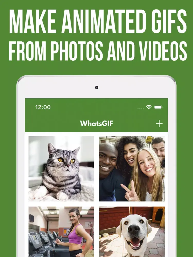 Скриншоты WhatsGIF - Do GIF for Chat App iPad 