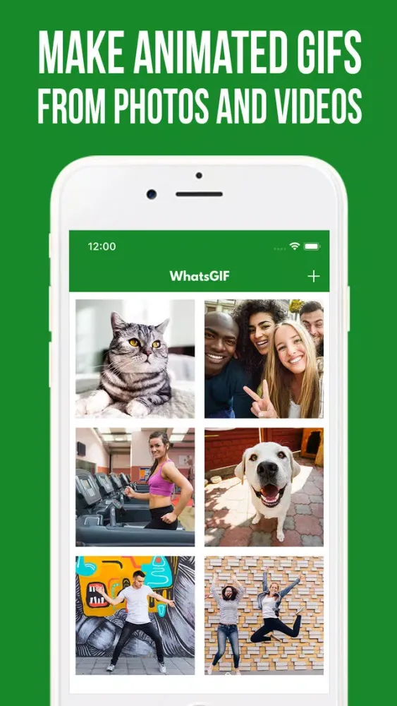 Скриншоты WhatsGIF - Do GIF for Chat App