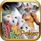 Atlantis Global VIP Mega Gold Chip Casino Poker - Big Bet Winner!