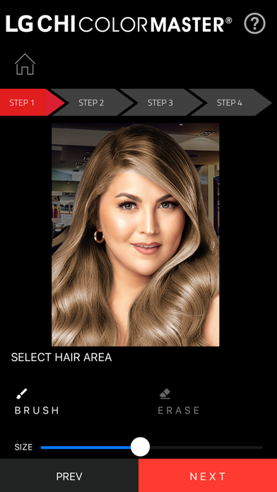 LG CHI Color Master Formulator Ekran Görüntüleri