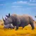 Virtual Wild Rhino Family Sim