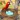 My Parrot Life Simulator Game