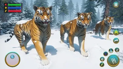 Wild Tiger Animal Survival Screenshots