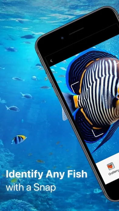 Fish Identifier - Fish ID应用截图