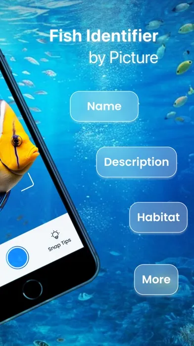 Fish Identifier - Fish ID应用截图