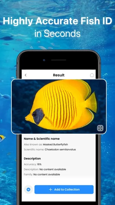 Fish Identifier - Fish ID应用截图