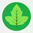 野外植物识别手册