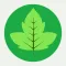 野外植物识别手册