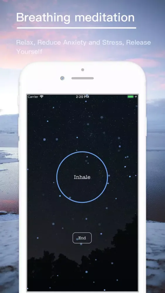 Meditation - white noise应用截图