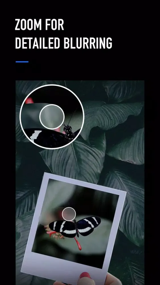 Captures d'écran de Blur Photo Editor Background