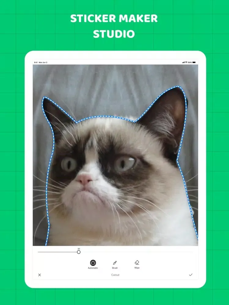 Sticker Maker Meme Creator . iPad  Screenshots
