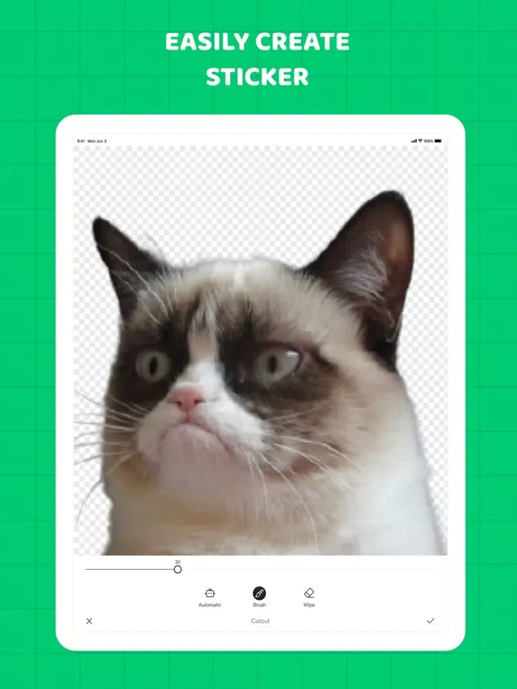Sticker Maker Meme Creator . iPad  Screenshots