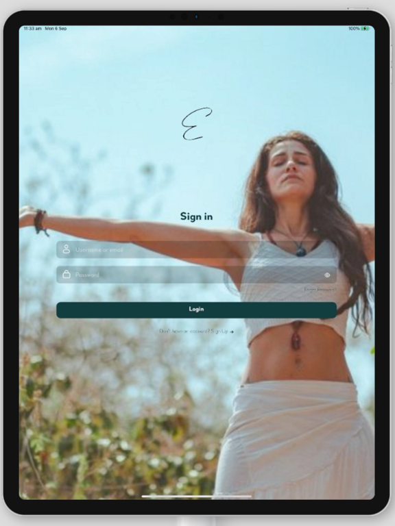 صور Essentially Everything iPad 