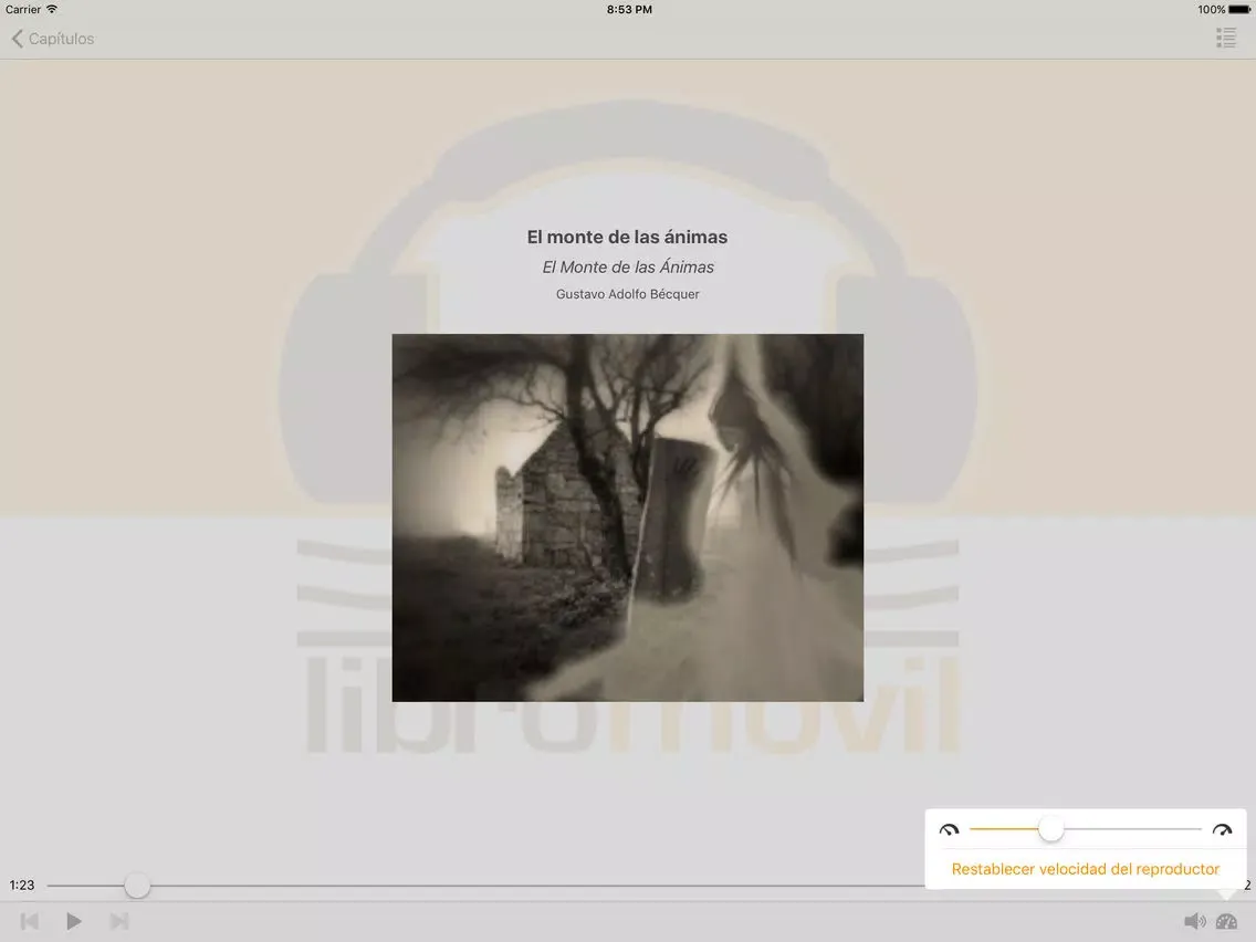 El Monte de las Ánimas - Audiolibro iPad  Screenshots